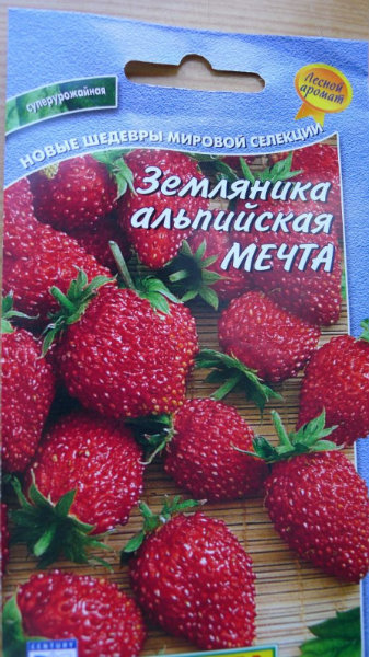 Продам: Земляника альпийская мечта