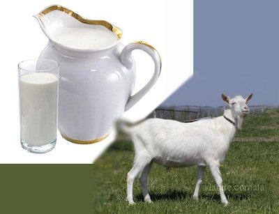Продам: Молоко Козье,дост. по Рост.(цена за литр