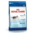 Продам: Роял Канин Royal Canin