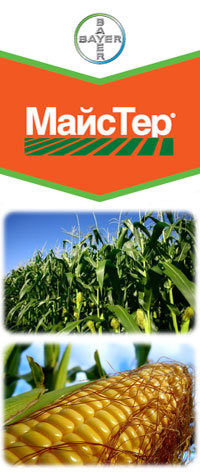 Продам: МайсТер - гербицид (кукуруза)