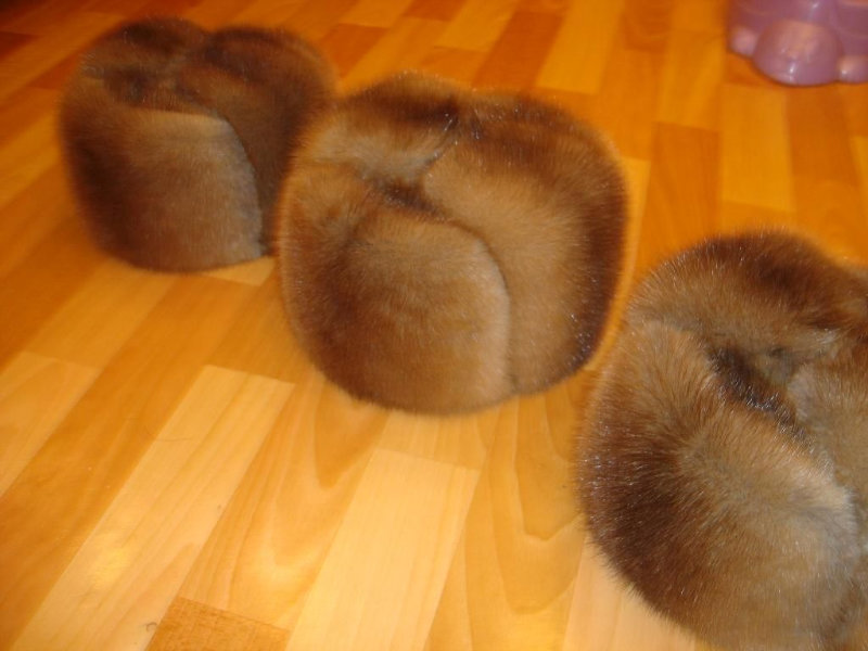 Продам: шапки из меха ондатры