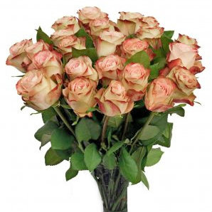 Продам: Потрясающие розы самого высокого качеств