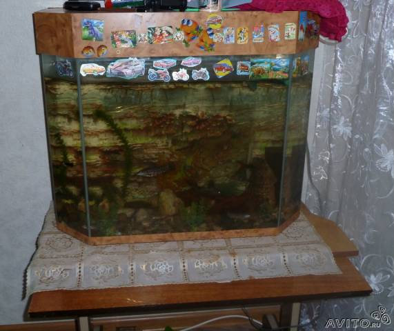 Продам: Продам аквариум