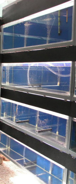 Продам: Стойка аквариумная металлическая с аквар