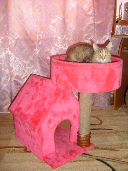 Продам: домик для кошки