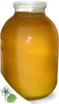 Продам: Продам башкирский липовый мед из Бурзянс
