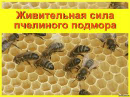 Продам: Пчелиный подмор