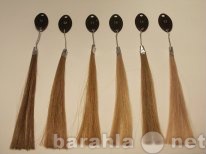 Продам: Натуральные волосы для наращивания