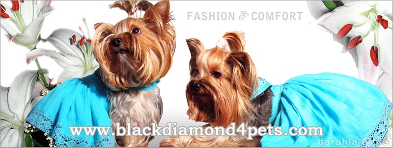Продам: Обувь для собак Black Diamond