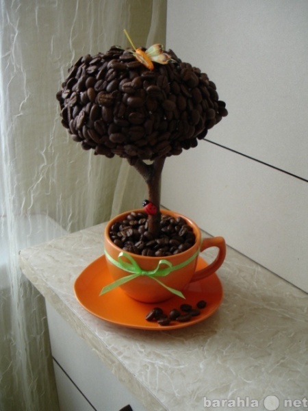 Продам: кофейное дерево на заказ или готовое