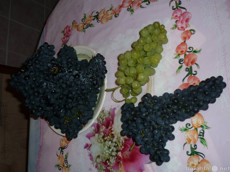 Продам: Укорененные черенки (саженцы) винограда