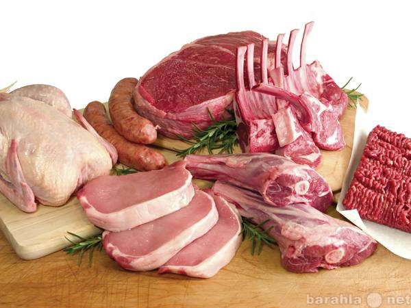 Продам: Мясо, говядина, свинина, баранина, мясо
