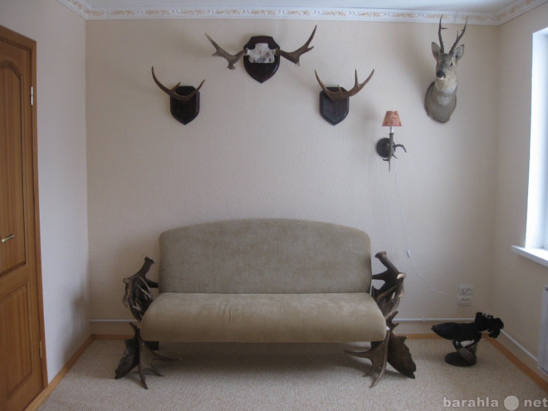 Продам: мебель из рогов лося
