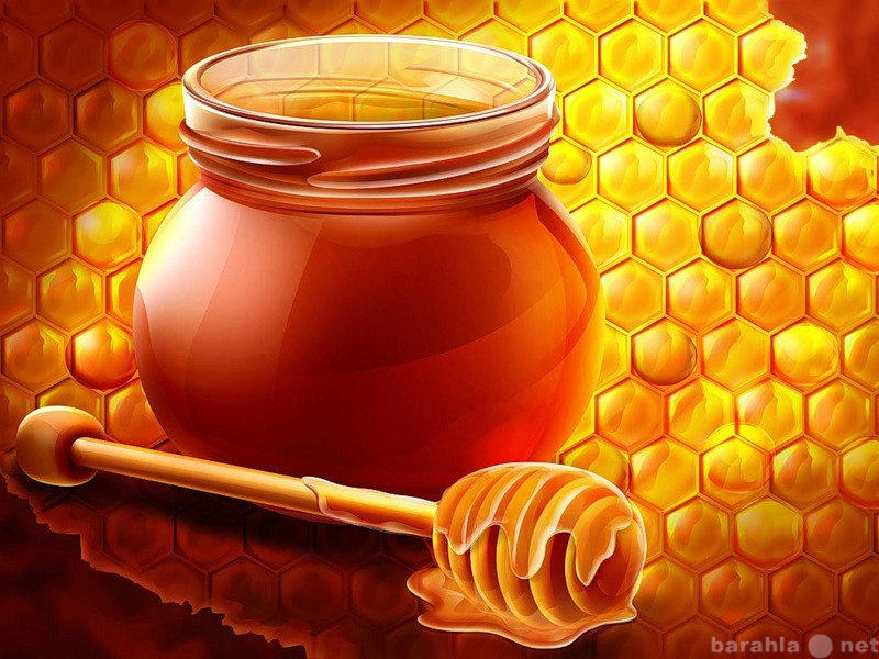 Продам: мед