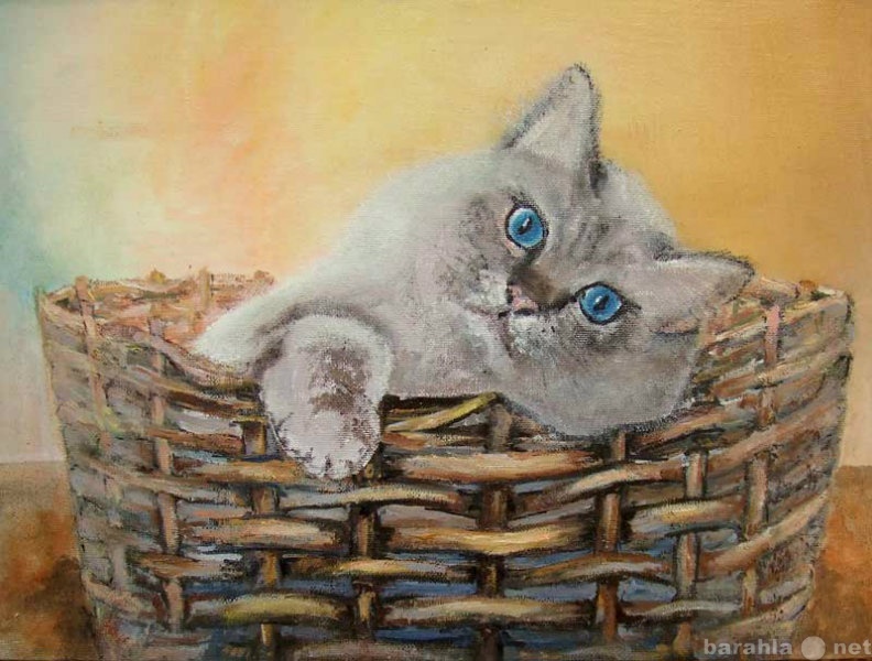 Продам: Кот в корзине, картина