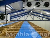 Продам: Системы вентиляции для овощехранилищ