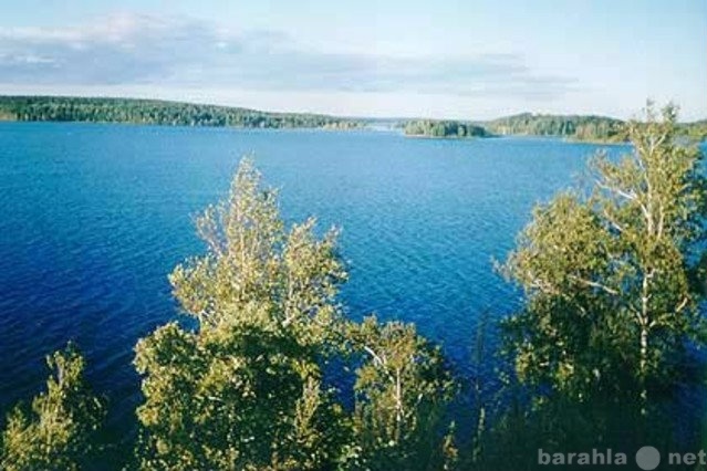 Куплю:  мебель, двери,половую дос- бартер