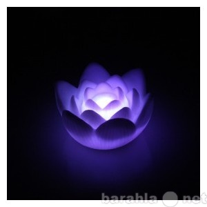 Отдам даром: очаровательный Lotus многоцветной света