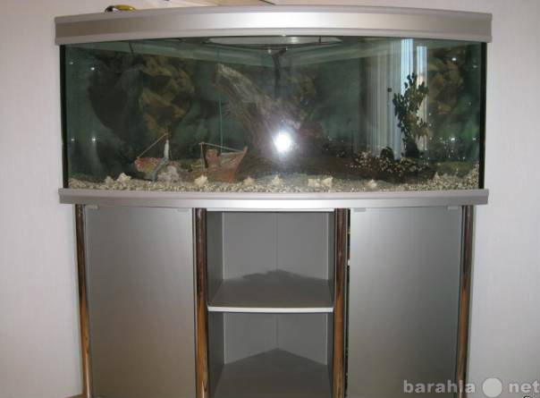 Продам: аквариум угловой с тумбой 350 л
