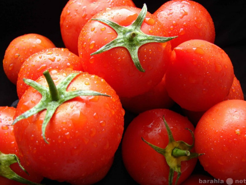 Продам: Помидоры, томаты, продаем оптом