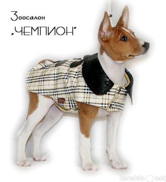 Продам: Летняя одежда для собак!!!