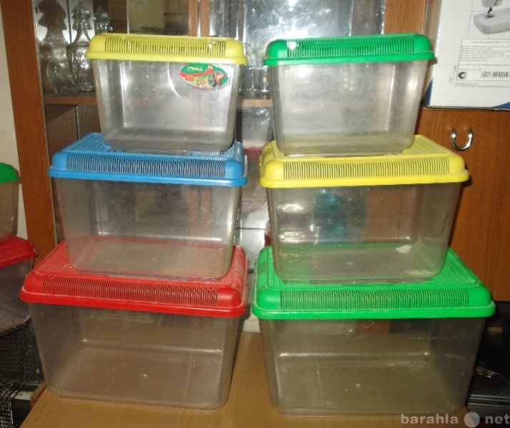 Продам: пластиковые контейнеры фирмы ТРИОЛ (б/у)