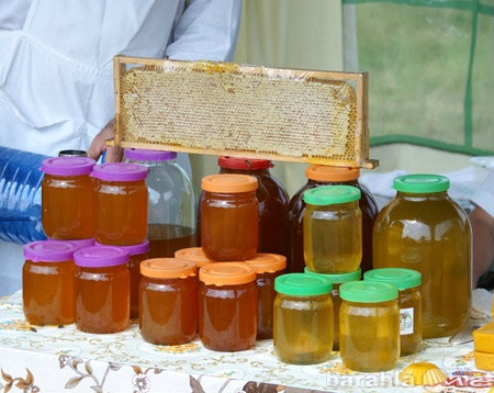 Продам: Мед оптом от пчеловода от 100 р/кг