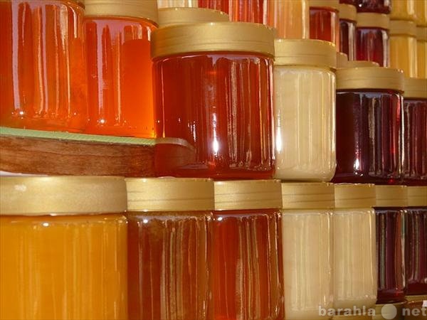 Продам: Продаю мед оптом с личной пасеки