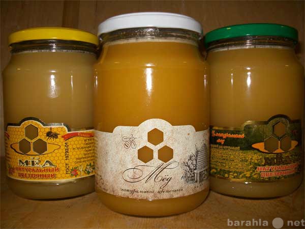 Продам: Мёд урожая 2012 с собственной пасеки