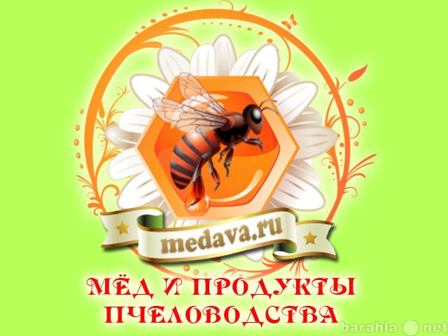Продам: Мёд из Шмаковки