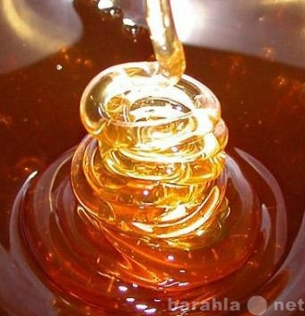 Продам: Алтайский мед натуральный