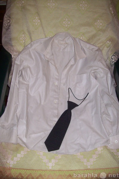 Продам: Рубашка + галстук, рост 122см.