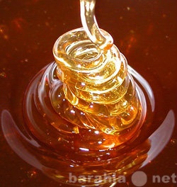 Продам: Таёжный Мёд