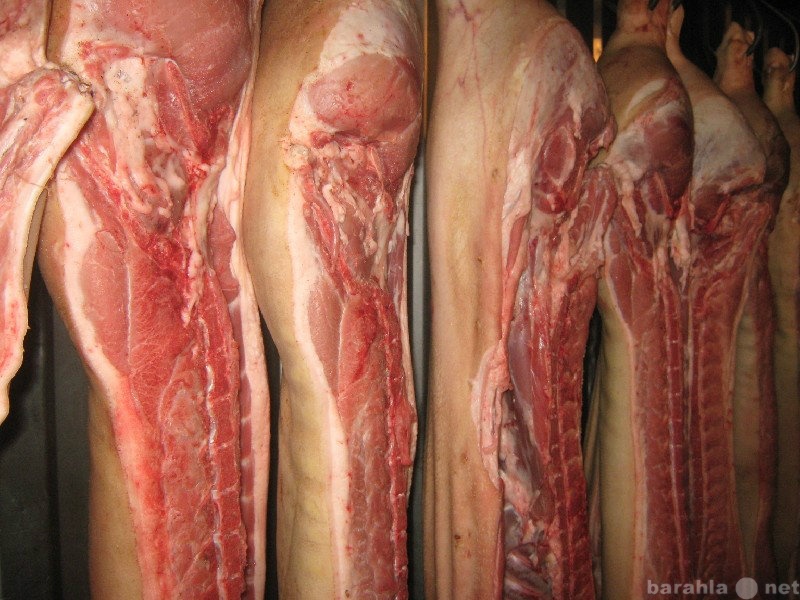 Продам: Домашнее мясо свинины