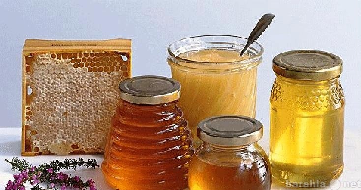 Продам: Мед из Башкирии натуральный