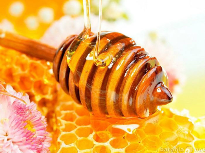 Продам: Натуральный мед