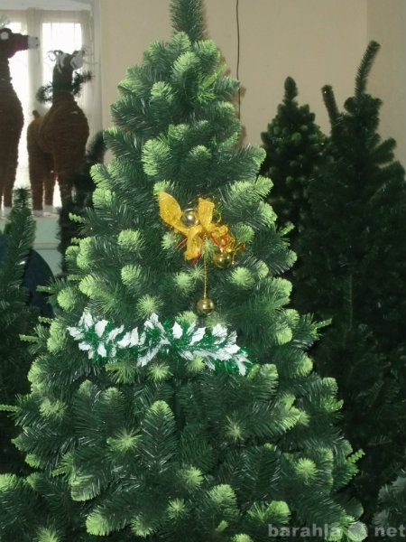 Продам: елки новогодние