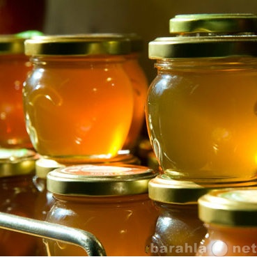 Продам: Мёд цветочный натуральный 2012 года опто