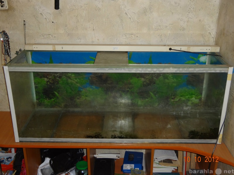 Продам: аквариум 250л