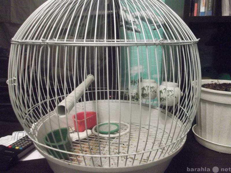 Продам: клетка  для птичек в хорошем состоянии