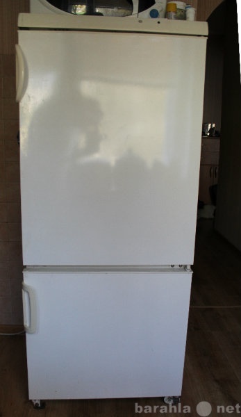 Продам: холодильник Snaige