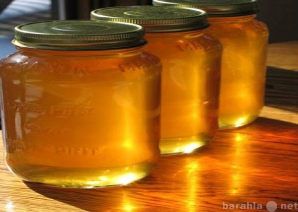 Продам: Продается горный АЛТАЙСКИЙ мед