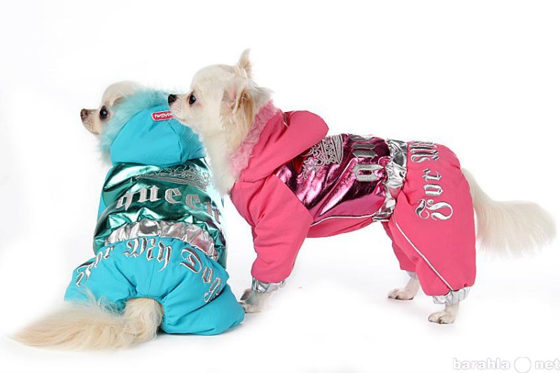 Продам: Одежда для собак интернет магазин