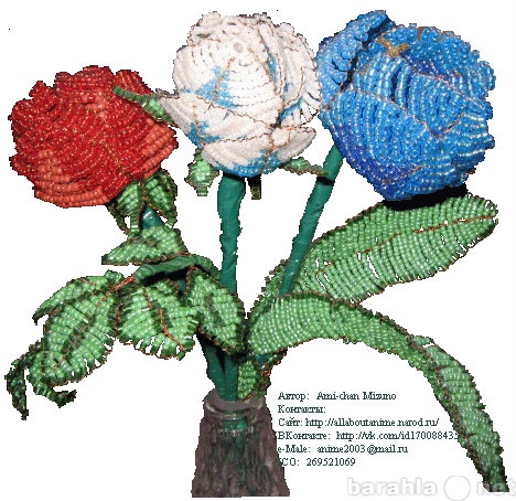 Продам: Голубой тюльпан, и две розы