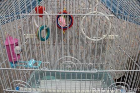 Продам: клетка для попугаев