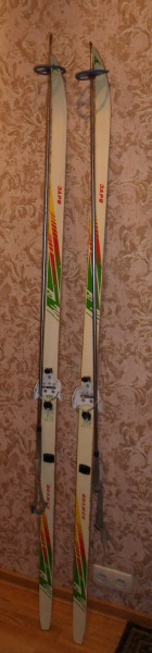 Продам: лыжи (ФОТО)