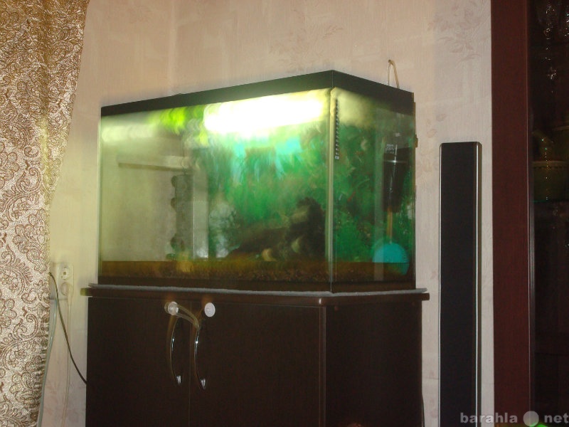 Продам: аквариум с тумбой