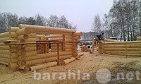 Продам: Срубы бань и домов из кедра Алтайского