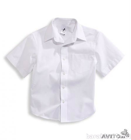 Продам: Рубашка белая от Palomino (Германия)