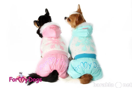 Продам: Одежда для собак